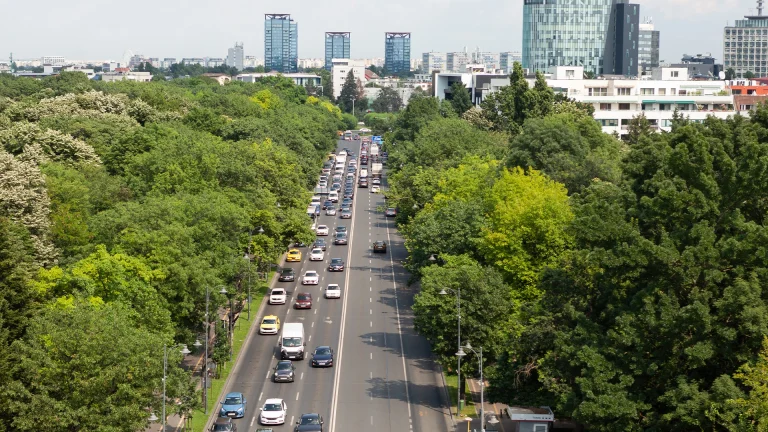 Автомобільний ринок в Україні зростає в 2025 році, Консалтинг в Україні